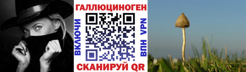 продажа наркотиков  Кудымкар  Псилоцибиновые грибы Cubensis 
