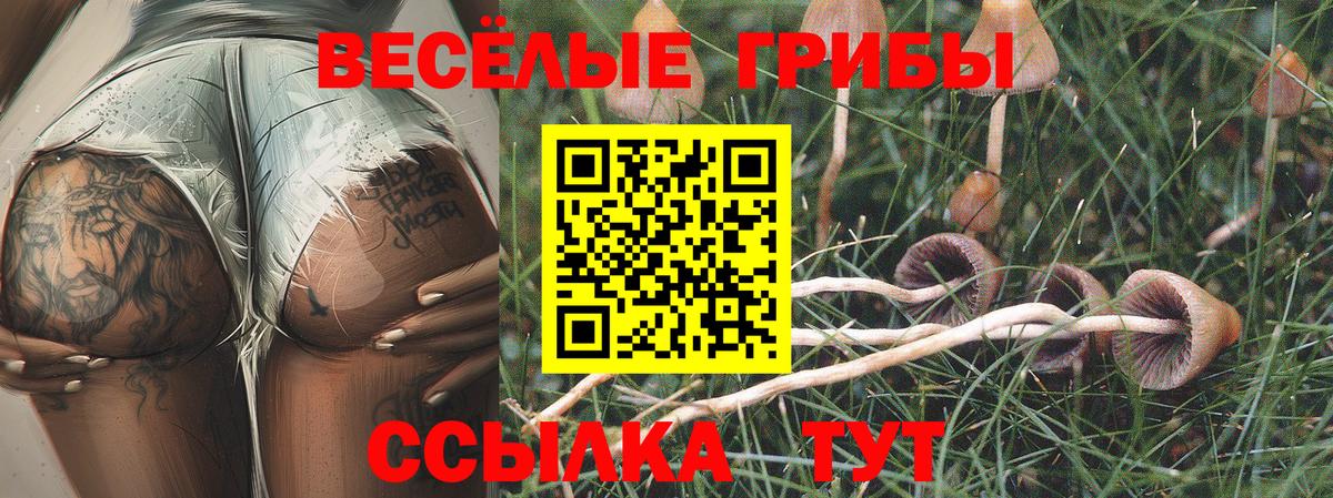 Галлюциногенные грибы Psilocybe  Галлюциногенные грибы прущие грибы  Вход с VPN  Кудымкар 