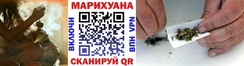 Конопля сатива  Кудымкар 