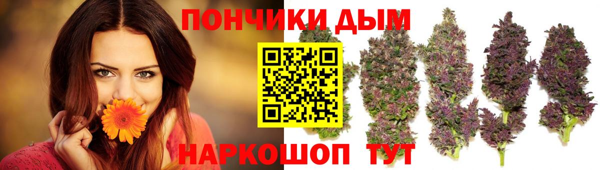 Кудымкар  Шишки марихуана ГИДРОПОН  Канабис VHQ  Бошки марихуана планчик  Вход с VPN 